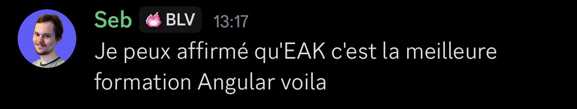 Message Discord de Seb affirmant : "Je peux affirmé qu'EAK c'est la meilleure formation Angular voilà"